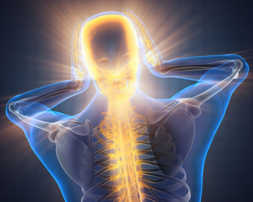 Chiropractic Tallahassee