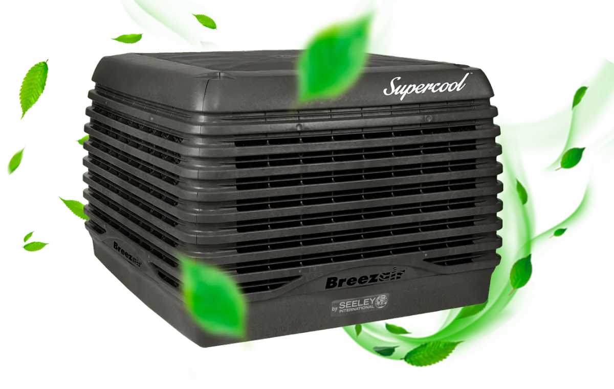 a view of a building through a window