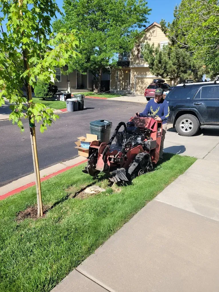 “Professional landscaper using a stump grinding machine to remove a tree stump and restore a healthy, even lawn in a residential neighborhood.”