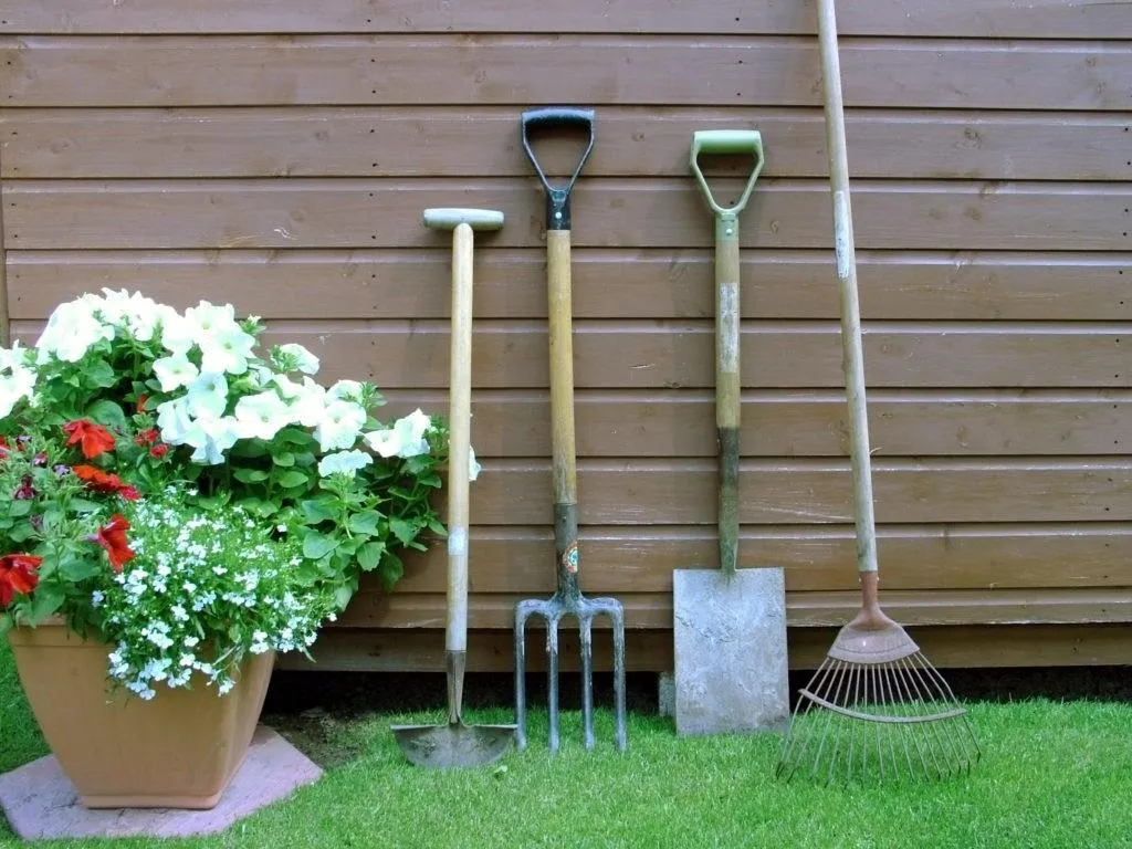 "Set of gardening tools including a hoe, garden fork, spade, and rake leaning against a wooden shed wall beside a large flower pot with white and red blooms on green grass."