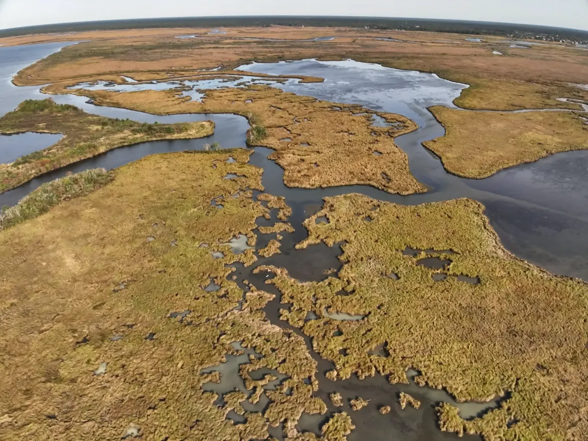 Aerial view of a marshland for AGL land management solution