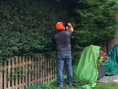 Hedge Cutting in Ellesmere
