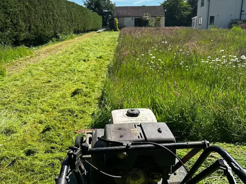 Domestic Mowing in Ellesmere