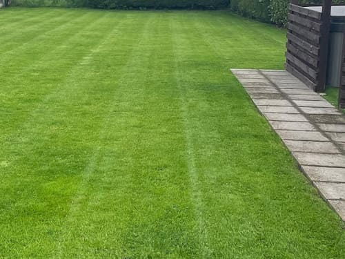 Lawn Treatments in Ellesmere