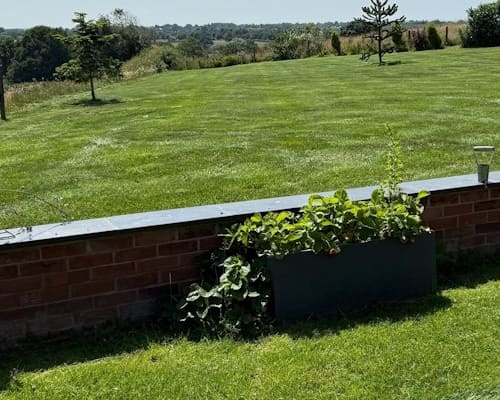 South Cheshire Lawn Scarification