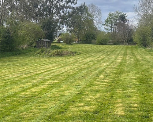 North Shropshire Lawn Treatments