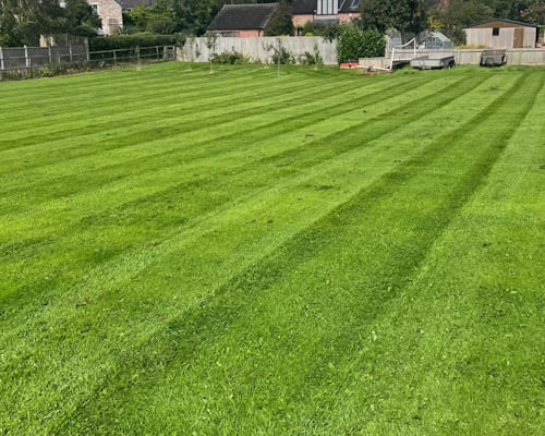 Dudleston Heath Lawn Scarification