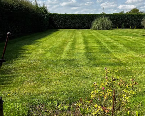 Whitchurch Lawn Scarification