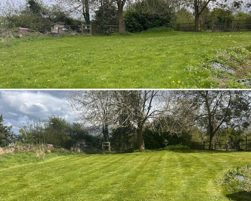 North Shropshire Lawn Scarification