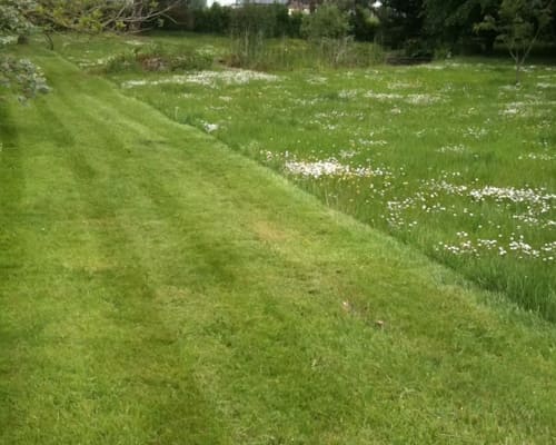 Whitchurch Lawn Treatments
