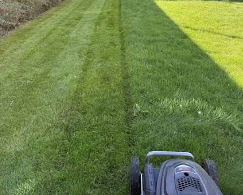 Whitchurch Domestic Mowing