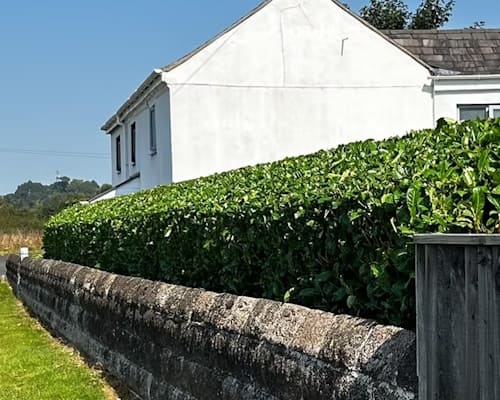 Malpas Lawn Treatments