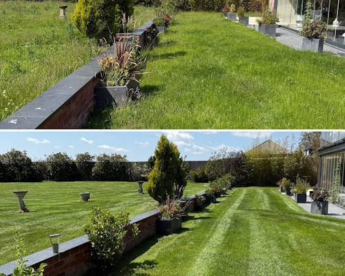 Penley Lawn Scarification