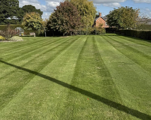  Lawn Treatments
