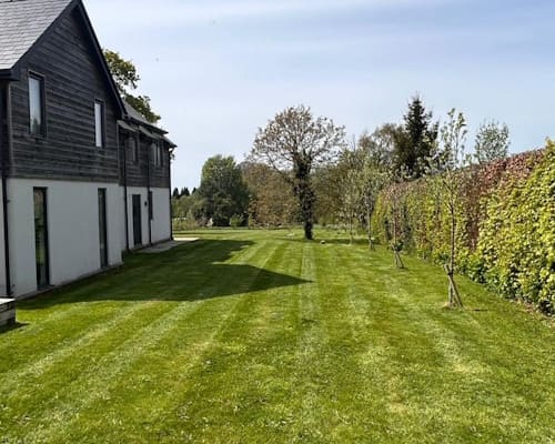 Welshampton Lawn Treatments