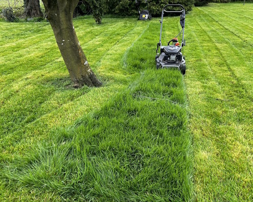 Wem Lawn Scarification