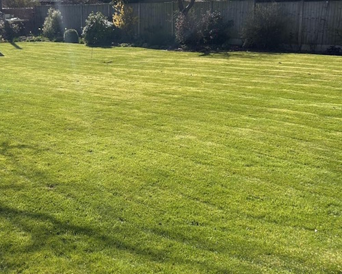 Dudleston Heath Lawn Treatments
