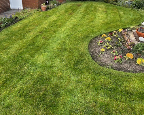 Lawn Scarification 