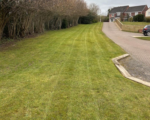 Tetchill Lawn Treatments