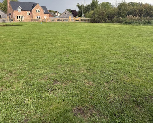 Lawn Scarification Ellesmere