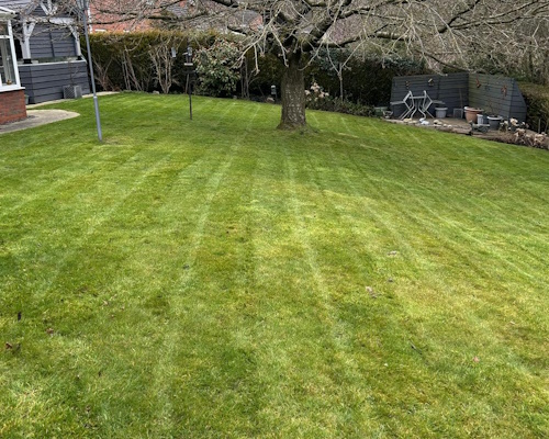 Malpas Lawn Scarification