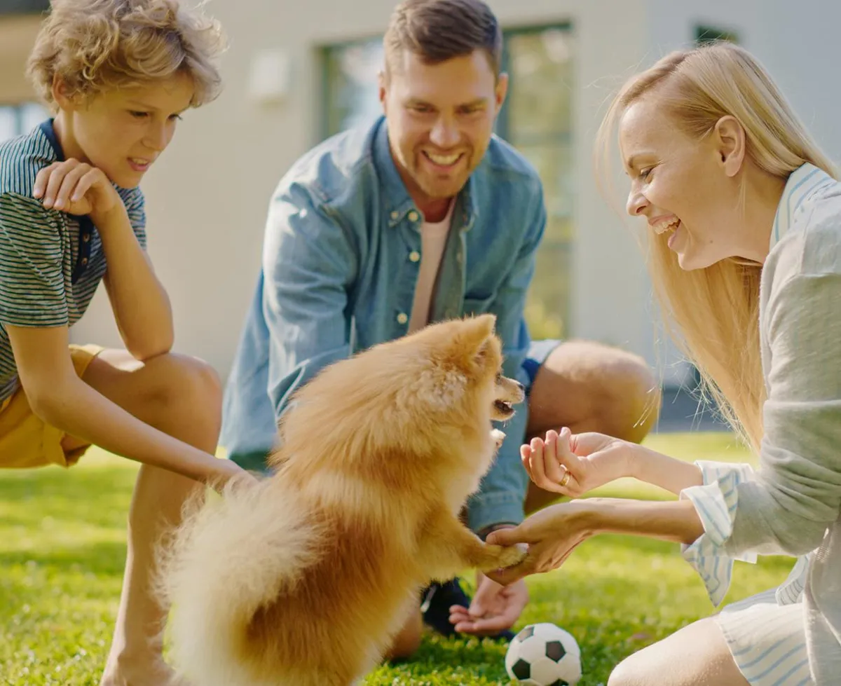 Fusion One Marketing