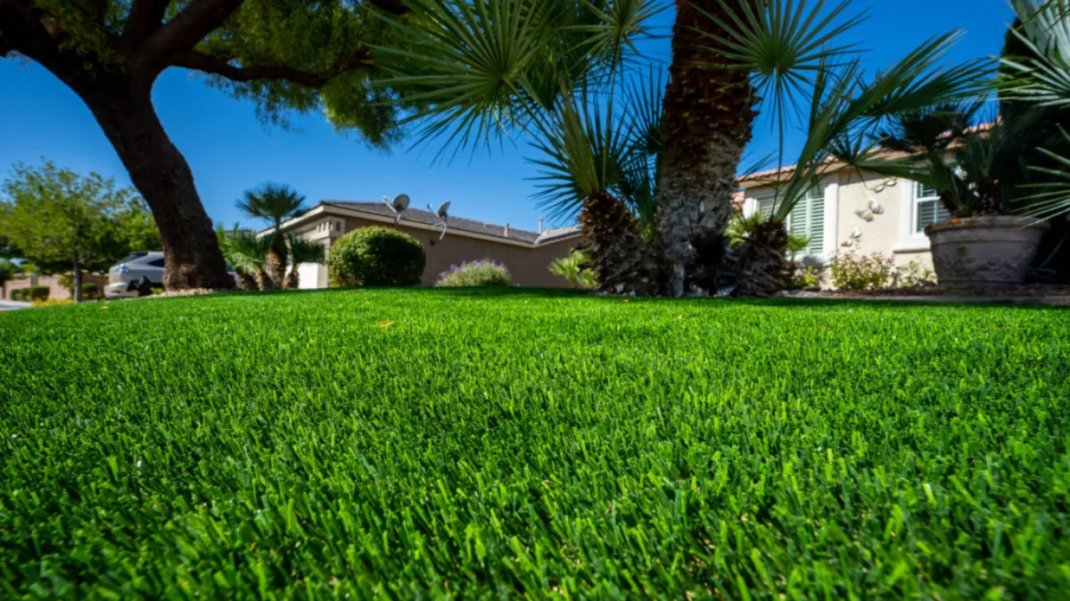 Summerlin Artificial Grass, install and builds artificial grass in Las Vegas Nevada