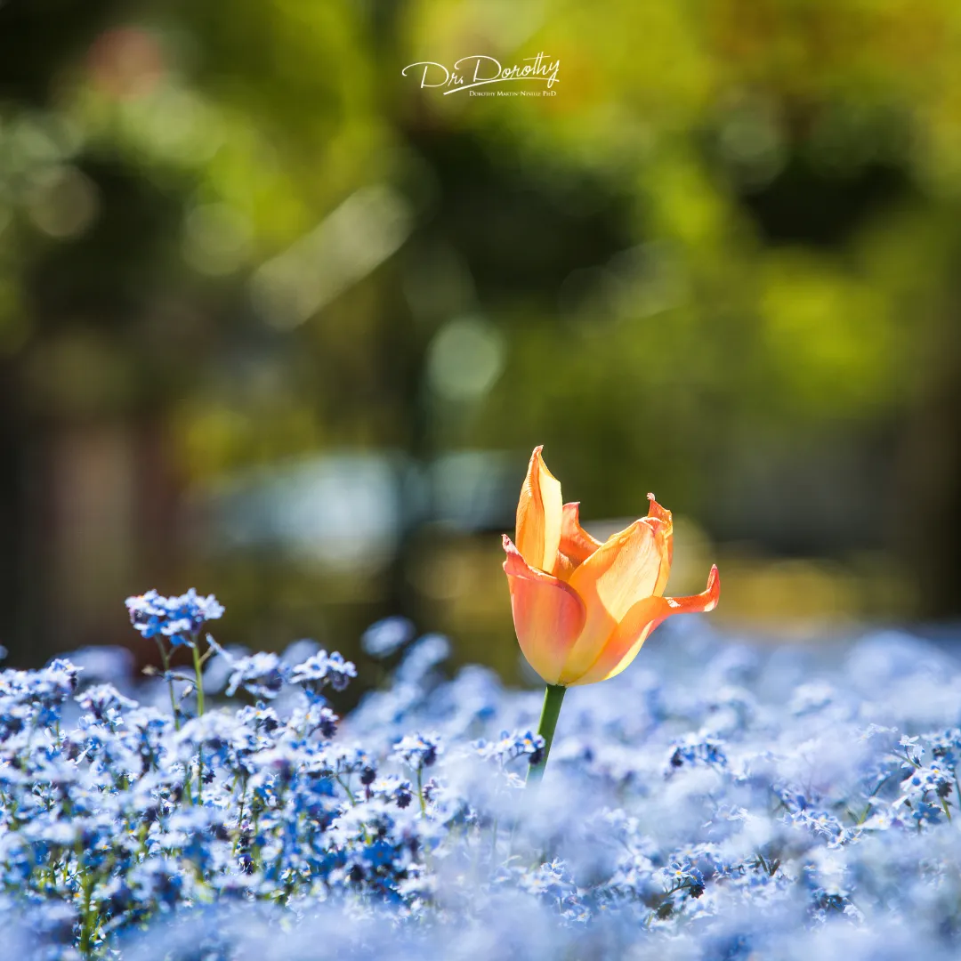 The Cost of Staying Hidden