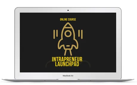 Bonus #1 - DISC Profiling Intrapreneur
