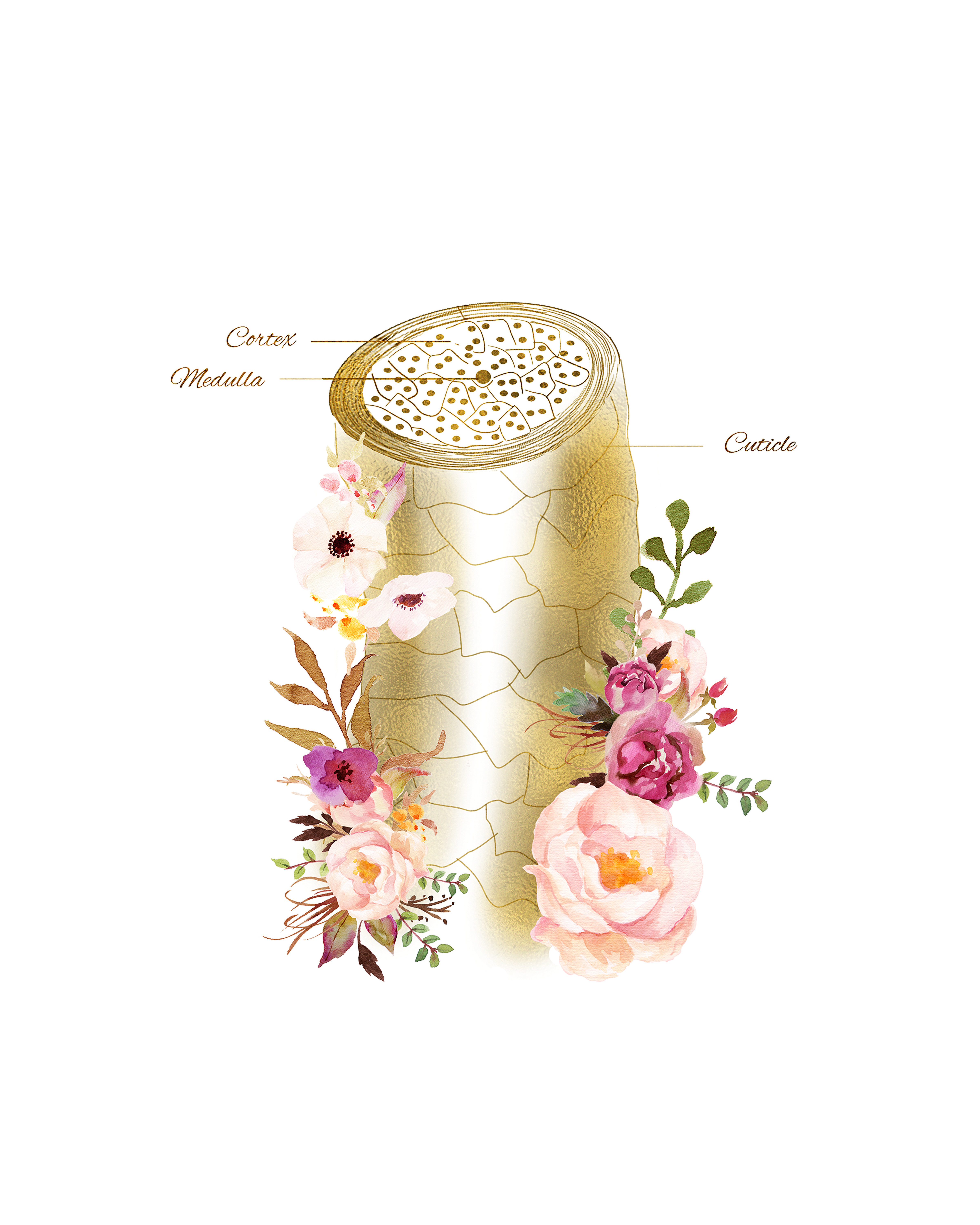 Central Centrifugal Cicatricial Alopecia (CCCA) | Kerri Jarrett, Trichology and Epigeentics