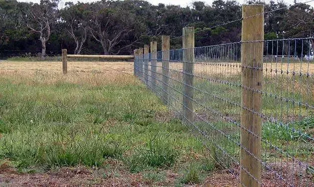 Chainlink fence enclosing a natural landscape with trees under a clear blue sky, illustrating durable fencing solutions by Sorrells Fencing.