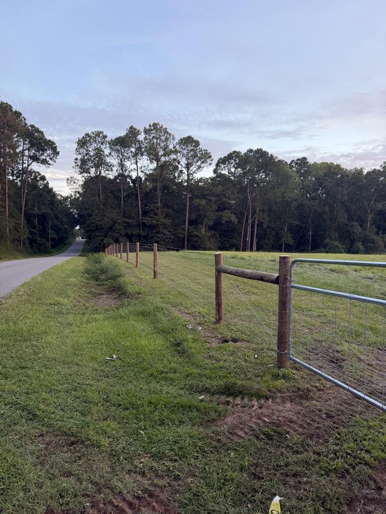 Newly installed wooden privacy fence alongside a grassy area, with palm trees and a clear blue sky in the background, showcasing Sorrells Fencing's custom fencing solutions.
