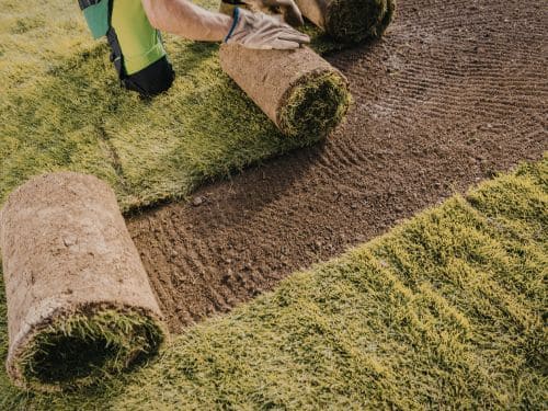 Sod Installation in Brainerd