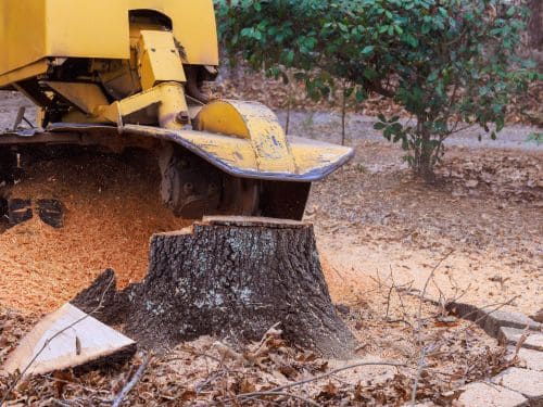 Baxter Pool Site Preparation & Excavation