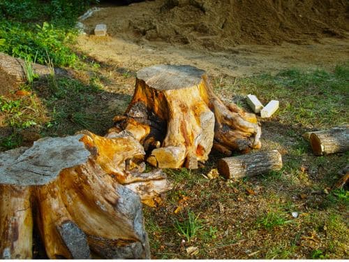  Paver Patio Installation