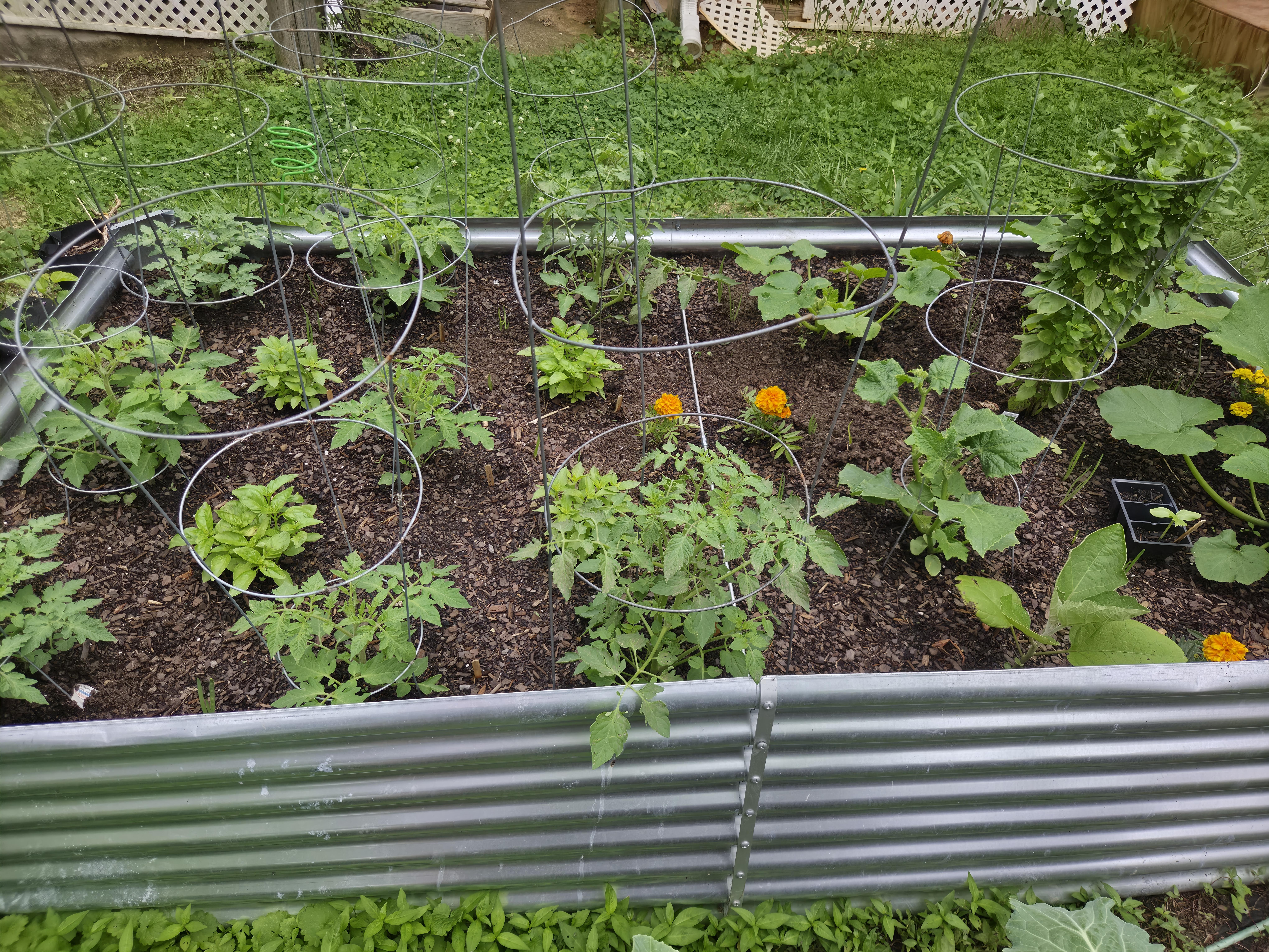 Wooden shovel handle near plants and greenhouse.