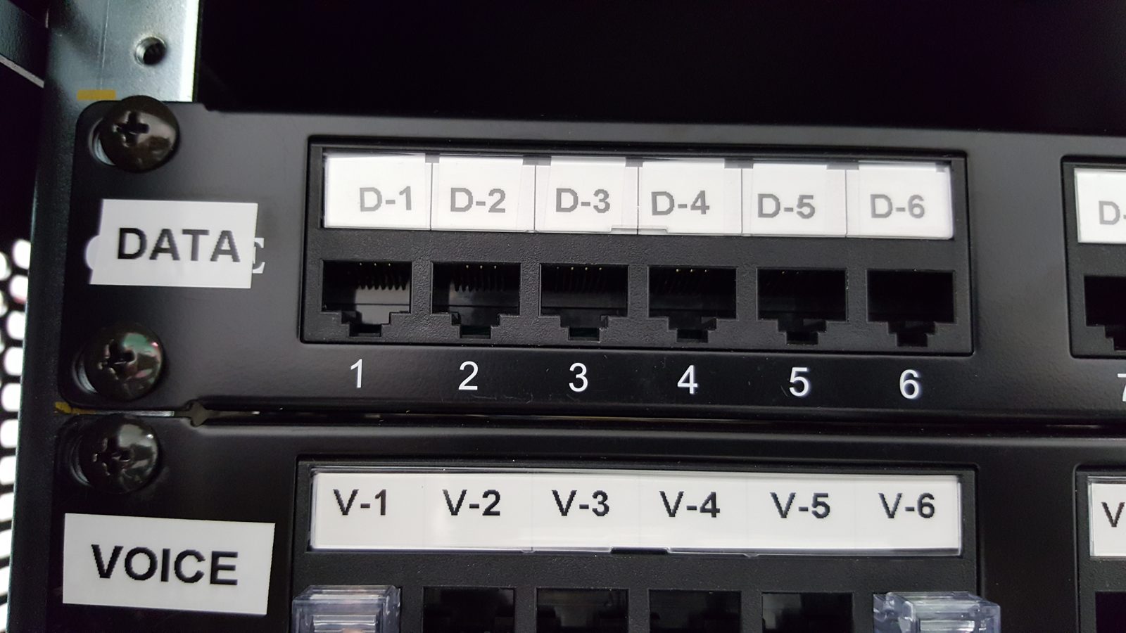 Labeled data and voice patch panel installed by All Soul Tech in Denver