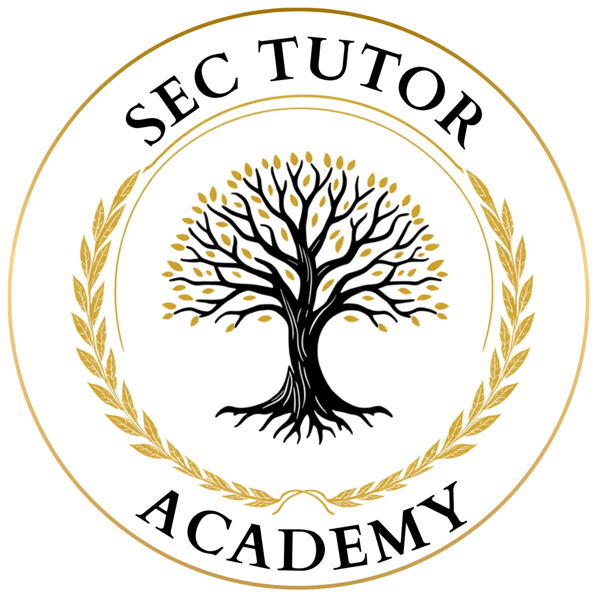 SEC Tutor Academy Logo