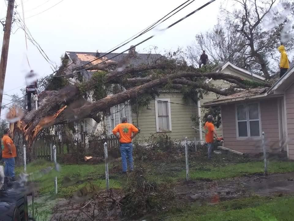 Trimming Seminole County