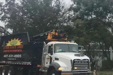 Tree Removal in Seminole County