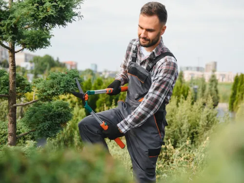 Seminole County Trimming