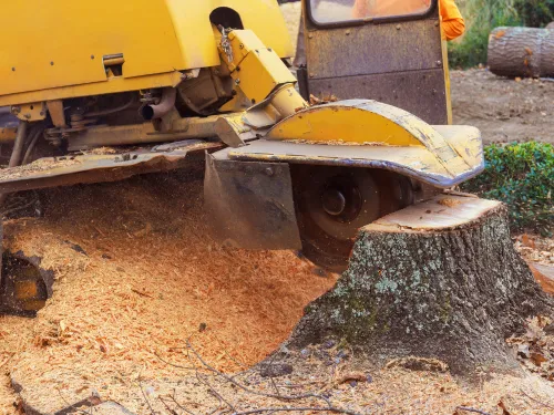 Seminole County Stump Grinding
