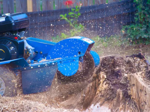 Stump Grinding in Seminole County