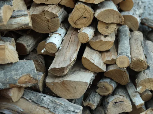 Firewood Sales in Seminole County