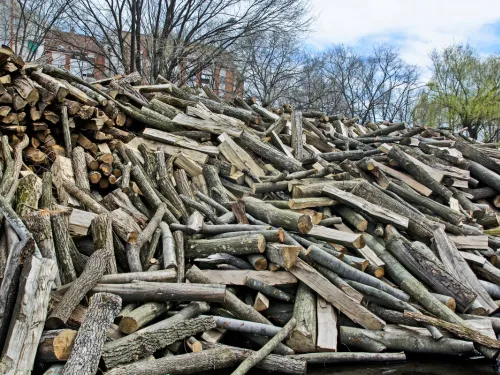 Osceola Firewood Sales