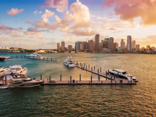 Seminole County Trimming