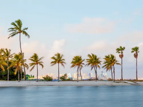 Seminole Stump Grinding