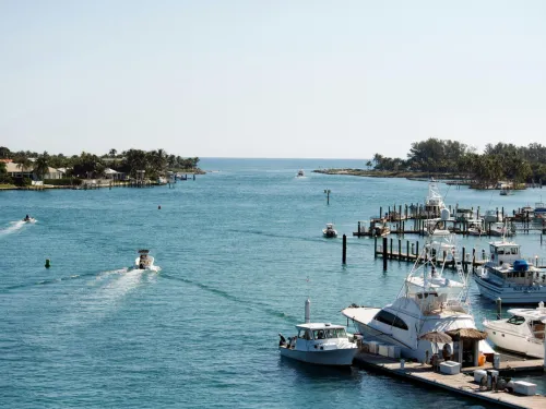 Seminole Tree Removal