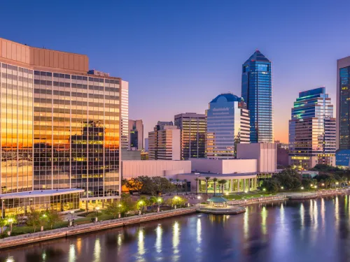 Osceola Tree Removal