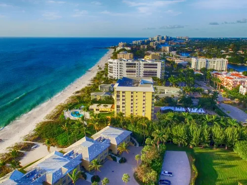 Volusia Stump Grinding